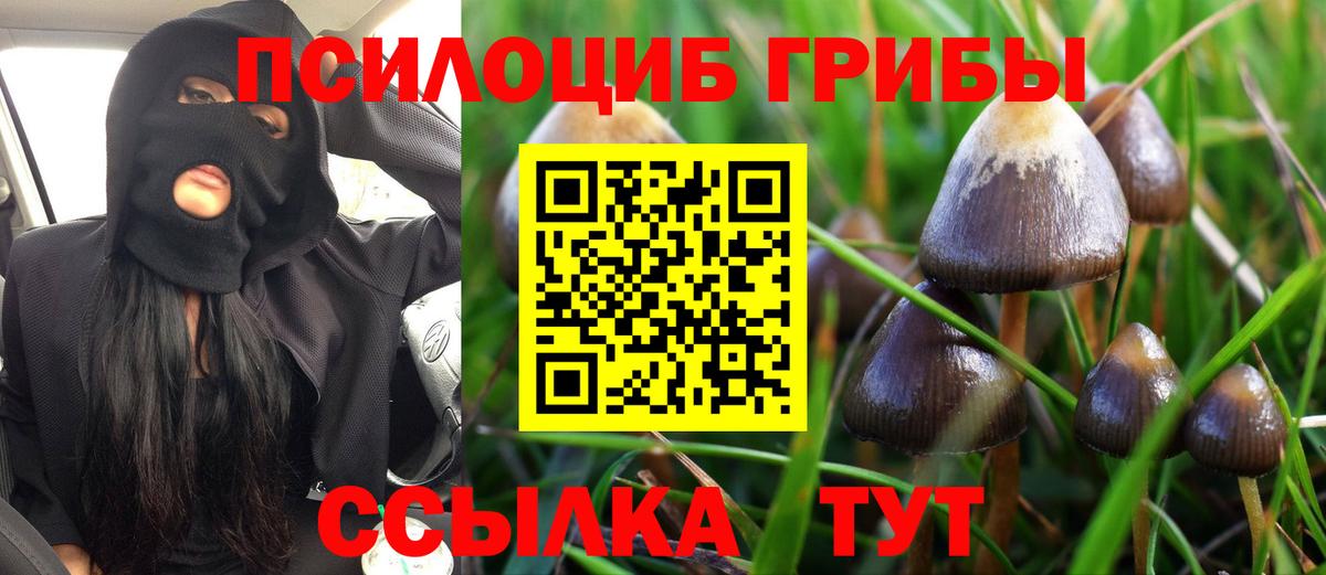 Псилоцибиновые грибы MAGIC MUSHROOMS  где найти   Вход с VPN  Миллерово  Псилоцибиновые грибы Psilocybe 